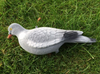 6 x Flocked Full Body HD Pigeons Shooting Decoys with pegs